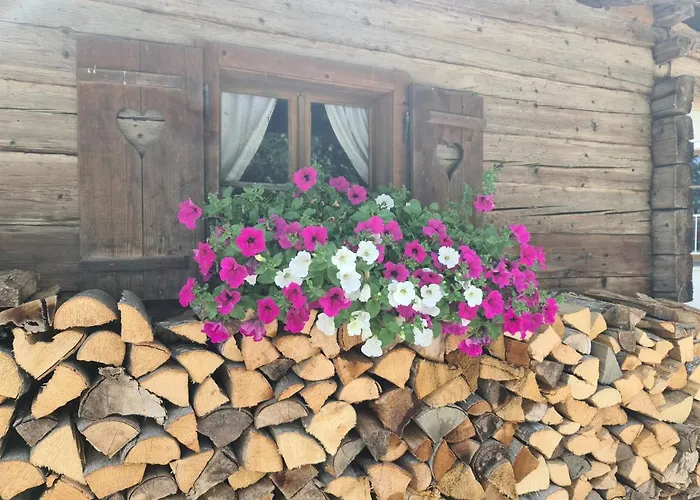 Hotel Alpenhof***
