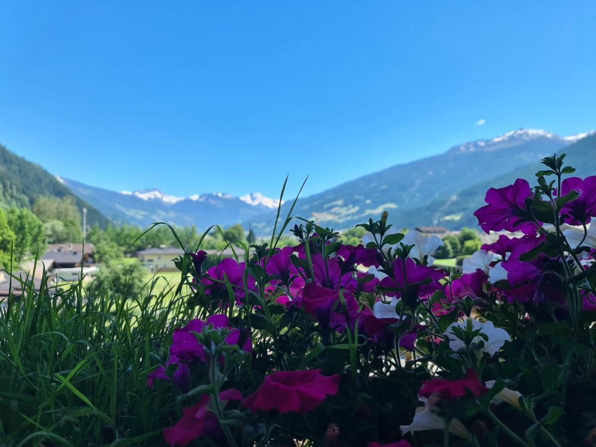 Alpenhof*** 3* Kaltenbach